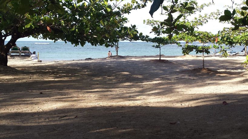 Imagen de los exteriores del Apartahotel Costambar. Foto 15