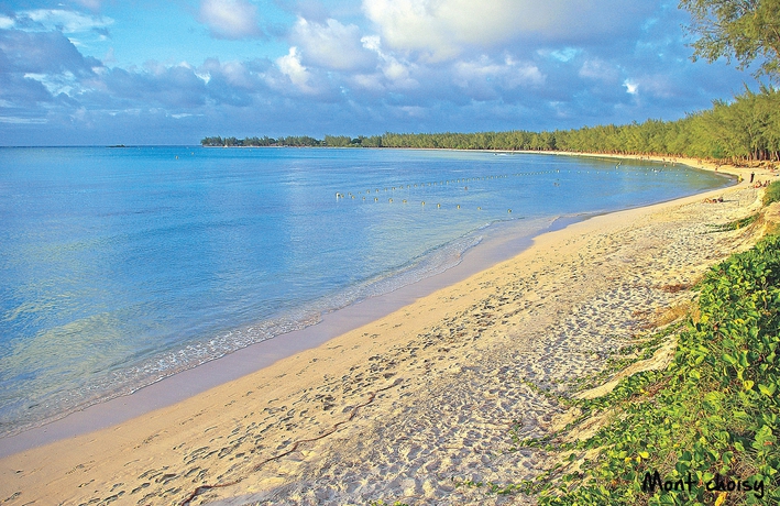 Imagen de los exteriores del Apartahotel Flowers Of Paradise. Foto 11