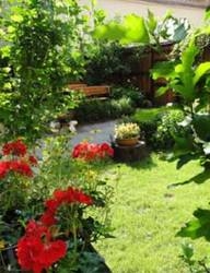 Imagen general del Apartahotel Golden Cracow. Foto 4