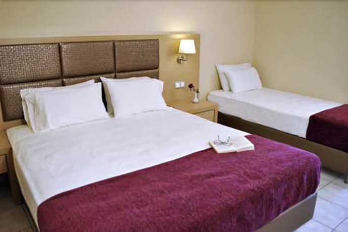 Imagen de la habitación del Apartahotel Hotel Plessas Palace. Foto 4