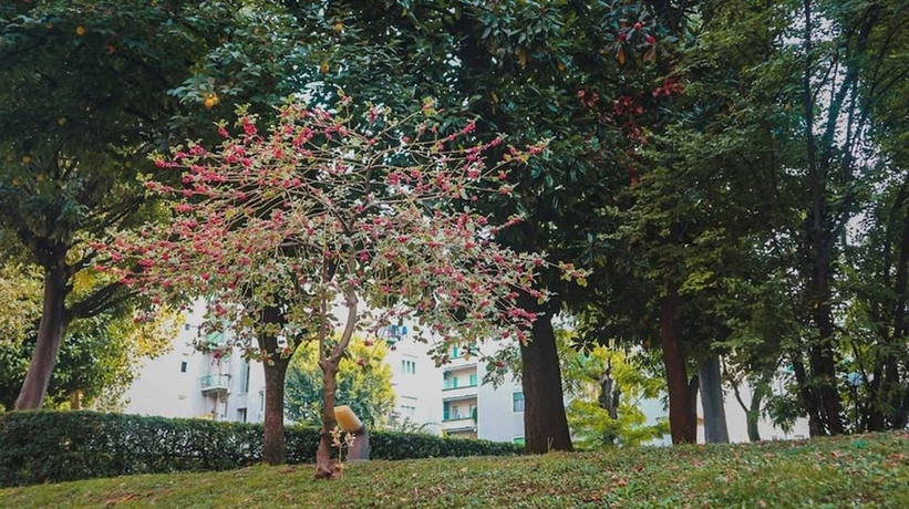 Imagen de los exteriores del Apartahotel Ih Hotels Milano Argonne Park. Foto 17