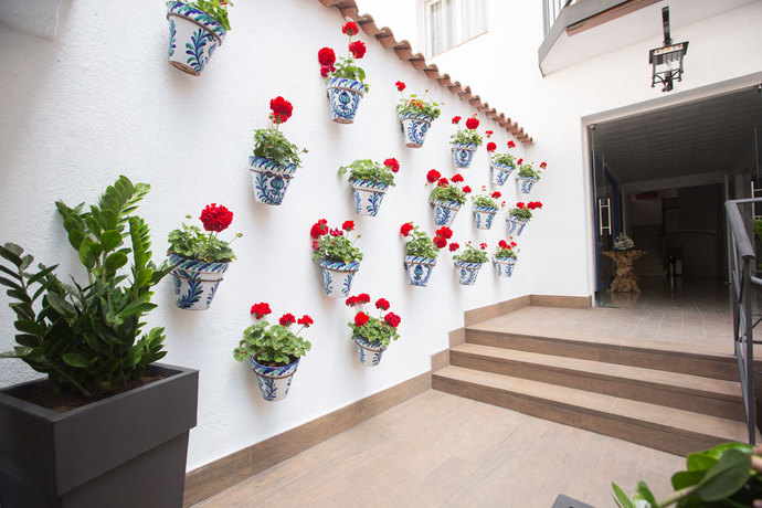 Imagen general del Apartahotel Neptuno Calella. Foto 5