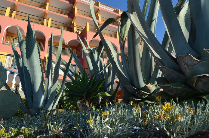 Imagen general del Apartahotel Royal Orchid, Canico. Foto 6