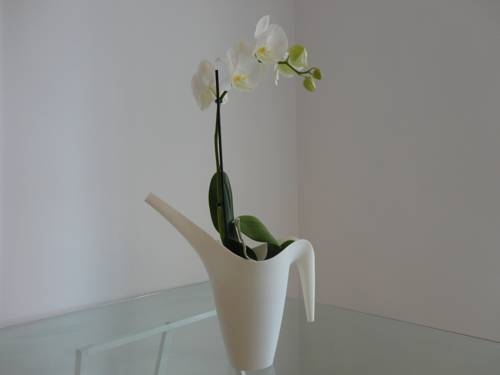 Imagen general del Apartamentos 1200 Bairro Alto. Foto 2