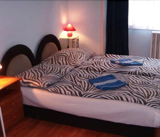 Imagen de la habitación del Apartamentos 4 You Budapest. Foto 5