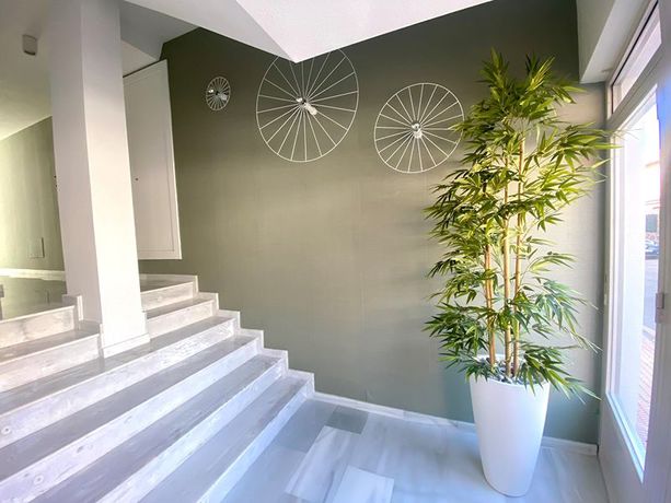 Imagen de los interiores del Apartamentos 525 Los Narejos. Foto 8