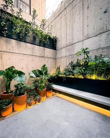 Imagen general del Apartamentos ANA POLANCO. Foto 13