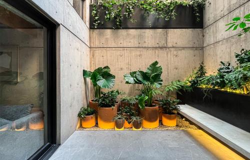 Imagen general del Apartamentos ANA POLANCO. Foto 14