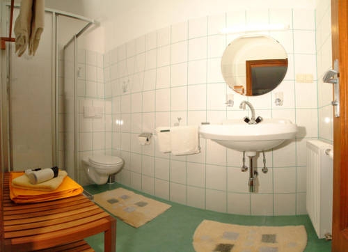 Imagen de los exteriores del Apartamentos Achenhof Y Landhaus Salzmann. Foto 4