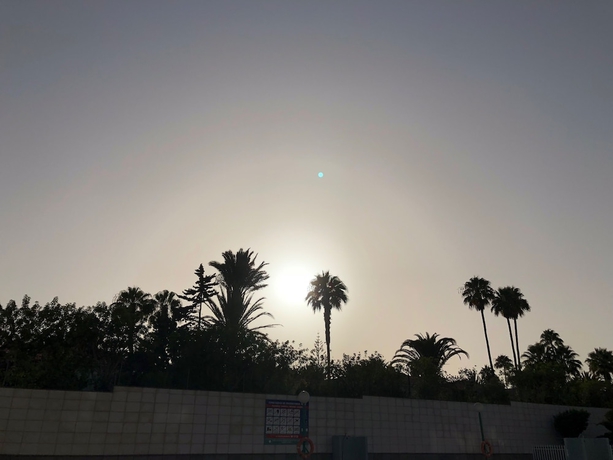 Imagen de los exteriores del Apartamentos Aloe, Playa del Inglés. Foto 10