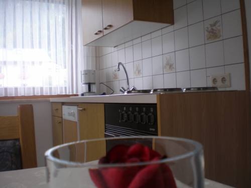 Imagen general del Apartamentos Alpenrose. Foto 2