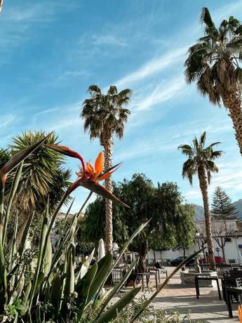 Imagen general del Apartamentos Alpujarra Secret by eme hoteles. Foto 7