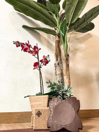 Imagen general del Apartamentos Alpujarra Secret by eme hoteles. Foto 8