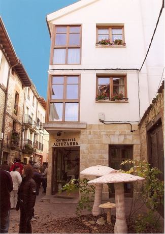 Imagen general del Apartamentos Altuzarra. Foto 2