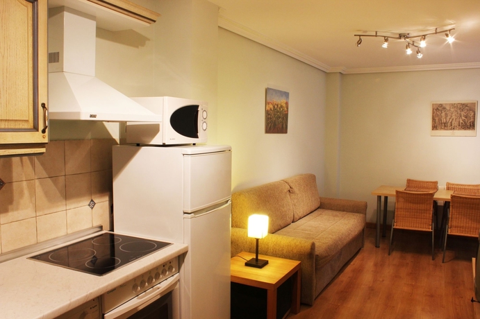 Imagen de la habitación del Apartamentos Altuzarra. Foto 4