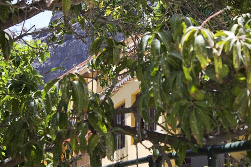 Imagen general del Apartamentos Apartamentos Concha. Foto 3