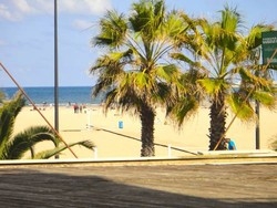 Imagen general del Apartamentos Apartamentos Marina Port. Foto 5