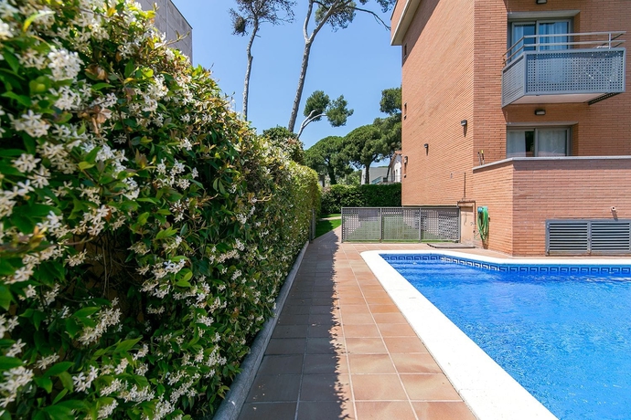 Imagen de la piscina del Apartamentos Aparthotel Bardon. Foto 17