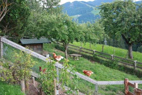 Imagen de los exteriores del Apartamentos Apartment Deml. Foto 3