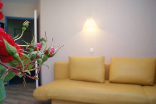 Imagen general del Apartamentos Apartments Hartsleben. Foto 5