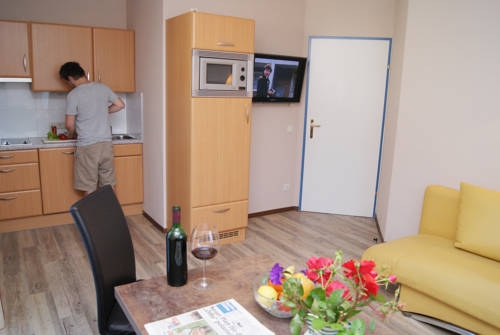 Imagen general del Apartamentos Apartments Hartsleben. Foto 7