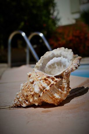 Imagen de los exteriores del Apartamentos Artemis Cynthia Complex. Foto 10