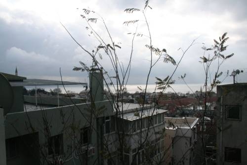 Imagen general del Apartamentos Aslan, Estambul. Foto 30