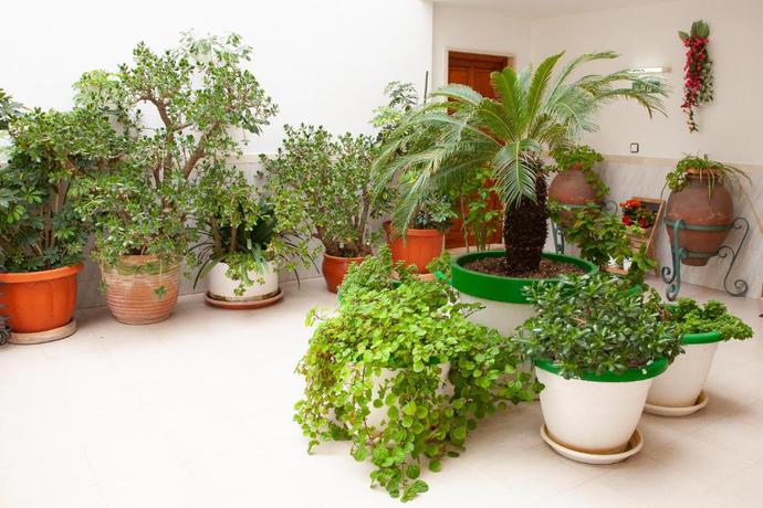 Imagen general del Apartamentos Atalaya Bosque. Foto 18