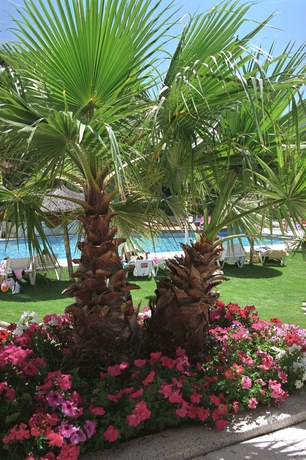 Imagen de los exteriores del Apartamentos Atenea Park - Suites Apartments. Foto 10