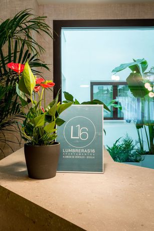 Imagen de los interiores del Apartamentos Atlumbreras16. Foto 17