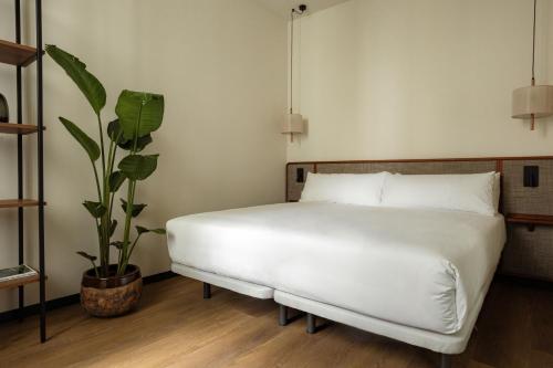 Imagen general del Apartamentos Batimont Suites. Foto 10