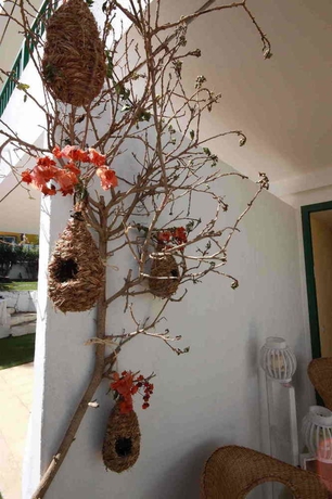 Imagen de los exteriores del Apartamentos Bellimar. Foto 12