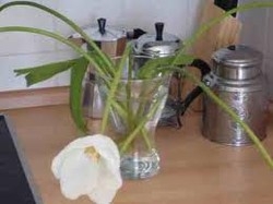 Imagen de la habitación del Apartamentos Berlin Mitte Apartment. Foto 2