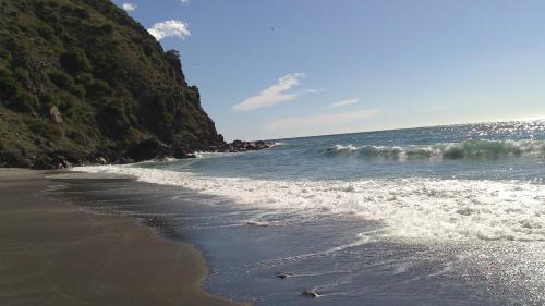 Imagen de los exteriores del Apartamentos Bertur Tao. Foto 6