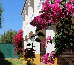 Imagen general del Apartamentos Bolonia Paraiso. Foto 1