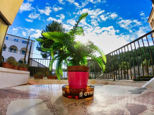 Imagen de los exteriores del Apartamentos Bon Aire Paguera. Foto 29