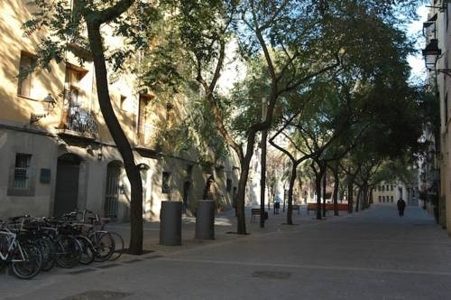 Imagen general del Apartamentos Born Picasso. Foto 6