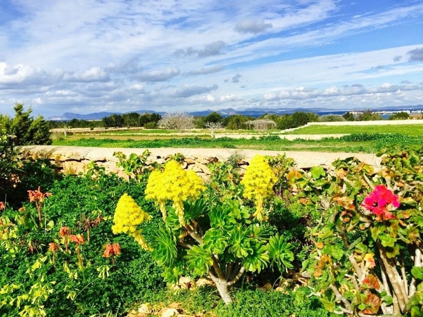 Imagen de los exteriores del Apartamentos Boutique Formentera. Foto 7