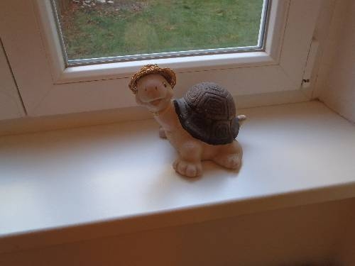 Imagen general del Apartamentos Brownies Apartments 1200. Foto 3