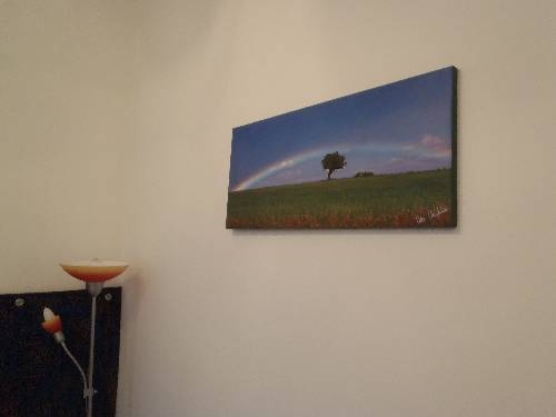 Imagen de la habitación del Apartamentos Brownies Apartments 1200. Foto 56