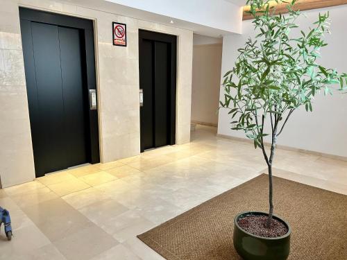 Imagen de la habitación del Apartamentos Bruja. Foto 3