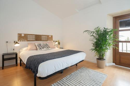 Imagen de la habitación del Apartamentos CASA PALACIO SUR I. Foto 5