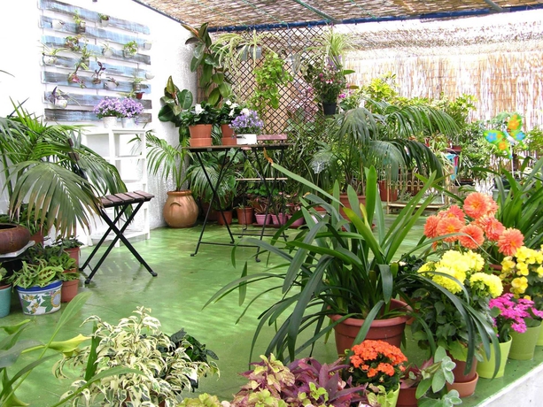 Imagen de los interiores del Apartamentos Calypso, Punta Umbría. Foto 11