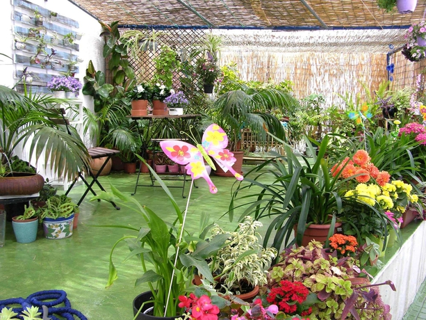 Imagen de los interiores del Apartamentos Calypso, Punta Umbría. Foto 12