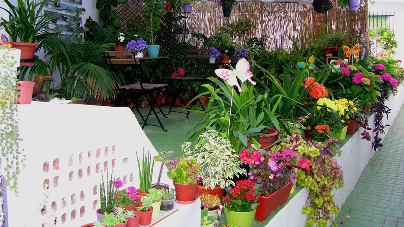 Imagen de los exteriores del Apartamentos Calypso, Punta Umbría. Foto 5