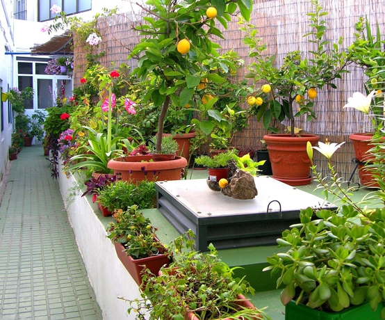 Imagen de los interiores del Apartamentos Calypso, Punta Umbría. Foto 13