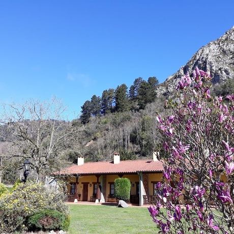 Imagen general del Apartamentos Camin de Pelayo. Foto 3