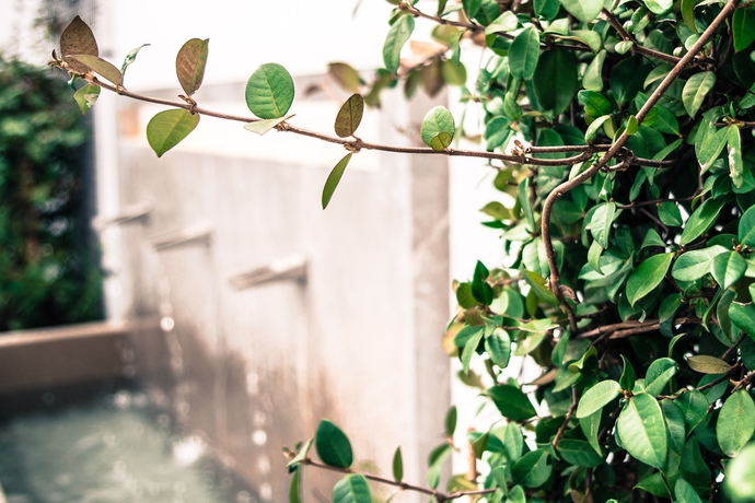 Imagen de los interiores del Apartamentos Campo Del Principe. Foto 14