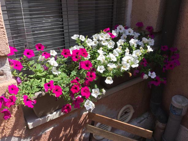 Imagen de los exteriores del Apartamentos Cannaregio II Apartments. Foto 17