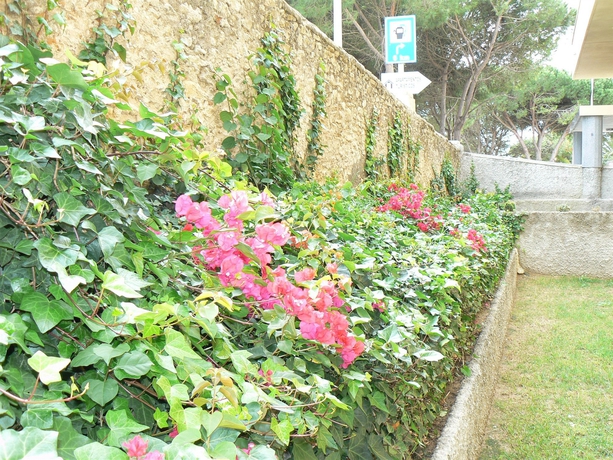 Imagen de los exteriores del Apartamentos Caños De Meca. Foto 7